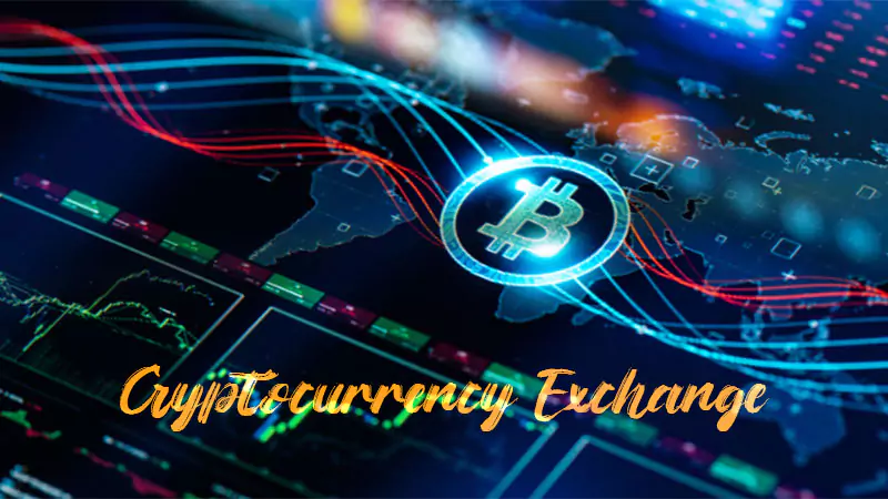 Choose a Cryptocurrency Exchange